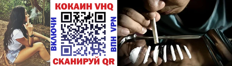 Купить закладки  Елизово  Cocaine 97% 
