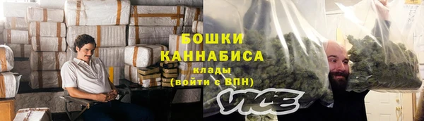 ГАЛЛЮЦИНОГЕННЫЕ ГРИБЫ Иннополис