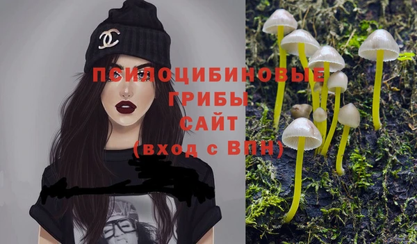 бутират Инта
