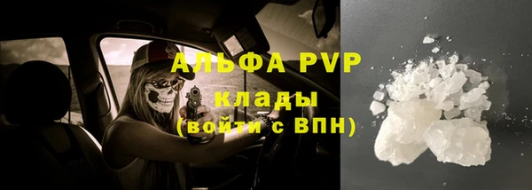 ГАЛЛЮЦИНОГЕННЫЕ ГРИБЫ Иннополис