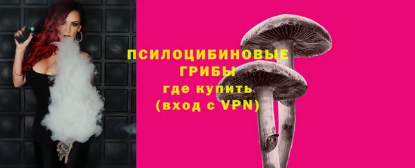 ГАЛЛЮЦИНОГЕННЫЕ ГРИБЫ Иннополис
