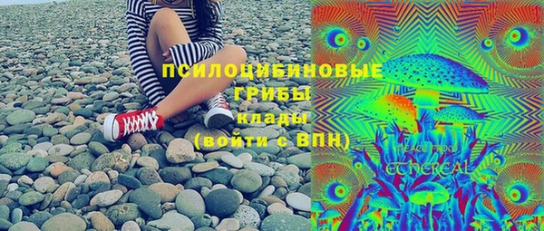 ГАЛЛЮЦИНОГЕННЫЕ ГРИБЫ Иннополис